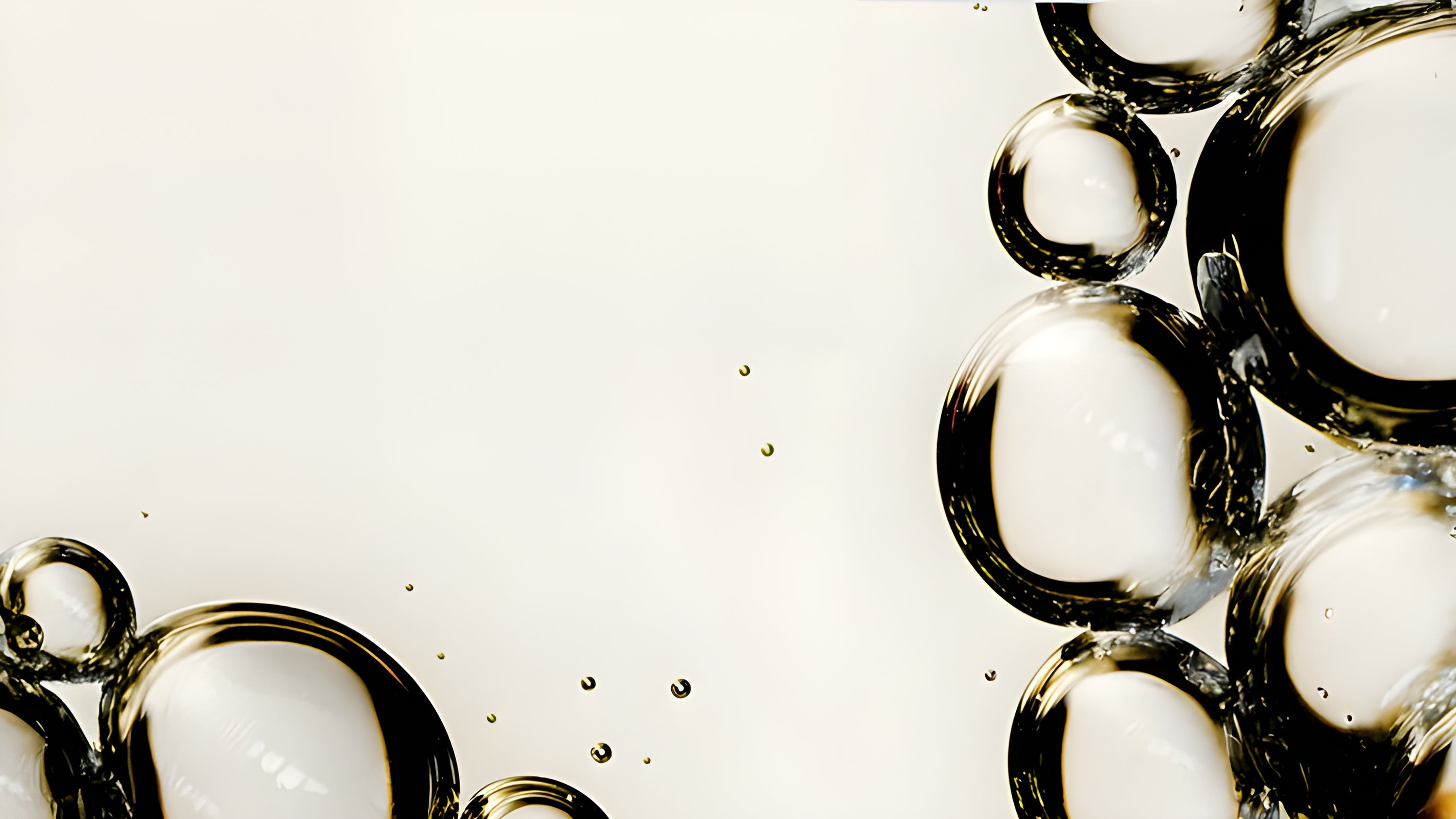 The PHD Story the-phd-story